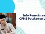 Pemkab-Pelalawan-Buka-25-Formasi-Penerimaan-CPNS-2024.jpg