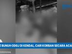 Pria-asal-Semarang-nekat-menikam-odgj-hingga-tewas-karena-kesal.jpg