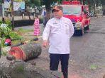 Proses-evakuasi-pohon-tumbang-di-Pekanbaru.jpg