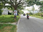 Salah-Satu-APS-Paslon-Pilkada-terpasang-di-pohon-pinggir-jalan-Bengkalis.jpg