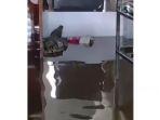 Seekor-buaya-masuk-ke-rumah-warga-saat-banjir-terjadi-Rohil.jpg