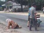 Seorang-nenek-jatuh-karena-tergelincir-saat-berkendara-sepeda-motor.jpg