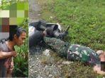 Serka-SM-Prajurit-TNI-Tewas-Dibacok-OTK-diduga-kKB-papua.jpg
