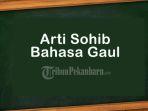 Sohiban-atau-Sohib-Artinya-Dalam-Bahasa-Gaul-Apa-Sih-Ini-Arti-Kata-Sohib.jpg