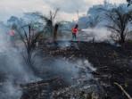 Tim-BPBD-Rohul-memadamkan-api-di-lahan-sawit-di-Desa-Rambah-Tengah-Hilir.jpg