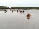 Warga-Mencari-Kepah-di-Pantai-Desa-Teluk-Lancar-Kecamatan-Bantan.jpg