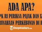 ada-apa-bpk-ri-akan-periksa-pajak-dan-izin-perusahaan-perkebunan-di-riau.jpg