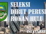 ada-titipan-dalam-seleksi-direktur-utama-perusda-rohul-riau-ini-syarat-pendaftaran-dan-kata-bupati.jpg