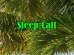 apa-itu-sleep-call-dalam-bahasa-gaul-dan-apa-arti-sleep-call-dalam-bahasa-gaul-serta-arti-sad-boy.jpg