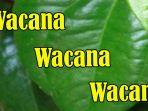 apa-itu-wacana-dalam-bahasa-gaul-dan-arti-wacana-adalah-bahasa-gaul.jpg