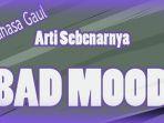 bad-mood-apa-sih-itu-hingga-sampai-saat-ini-masih-populer-cek-arti-bad-mood-adalah-di-sini.jpg