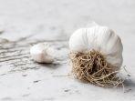 bawang-putih-bisa-untuk-mengobati-panu.jpg