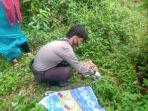 bayi_perempuan_ditemukan_tergeletak_di_semak_belukar_di_kuansing.jpg