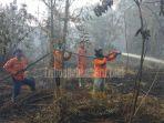 breaking-news-70-personel-gabungan-berhasil-padamkan-karhutla-di-pulau-muda-dan-sedang-pendinginan.jpg