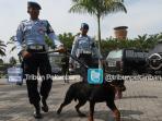 brigade-anjing-amankan-bandara-ssk-ii_20160115_163624.jpg