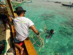 Ujung Tombak Konservasi Laut: Program “Grow & Green” BRI Menanam di NTB