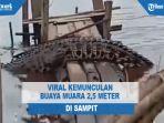buaya-muara-di-sampit_.jpg