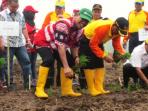 bupati-pelalawan-hm-harris-bersama-direktur-pt-rapp_20151027_090110.jpg