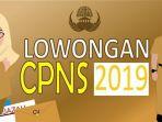 cpns-2019.jpg