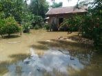 das-indragiri-terendam-banjir-sungai-indragiri_20181105_130255.jpg
