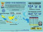 data-penyebaran-virus-corona-covid-19-di-indonesia.jpg