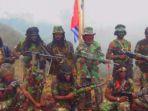 dicap-teroris-kkb-papua-unjuk-gigi-serang-tni-dan-polri-pertempuran-pun-pecah-begini-jadinya.jpg