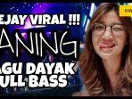 dj-haning-dayak-mp3-tiktok.jpg