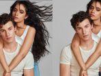download-lagu-mp3-senorita-shawn-mendes-dan-camila-cabello.jpg