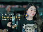 download-lagu-via-vallen-senorita-versi-dangdut-mp3.jpg