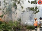 Pagi Ini ISPU di Kampar Naik, 20 Besar Daerah dengan Polutan Tertinggi di Indonesia
