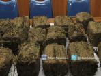 ekspose-ganja-30-kg_20160427_205446.jpg