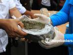 foto_9_kilogram_ganja_kering_dimusnahkan_bnnp_riau_4.jpg