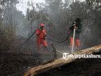 foto_pemadaman_karhutla_di_tntn_kabupaten_pelalawan_riau_3.jpg