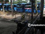 foto_pramudi_mogok_kerja_bus_trans_metro_pekanbaru_tidak_dioperasikan_3.jpg