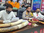 gading-gajah-barang-bukti-yang-diamankan-dari-pemburu-gajah-liar-di-inhu.jpg