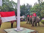 gajah-jadi-petugas-upacara.jpg