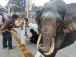 gajah-rahman.jpg