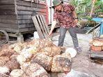 harga-karet-riau-defris.jpg
