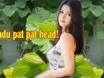 harimau-suka-pat-pat-head-meaning-pat-pat-kepala-artinya-bahasa-gaul-apa.jpg