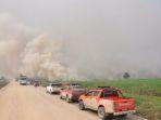 hutan-di-taman-nasional-tesso-nilo-terbakar-karhutla-di-riau-ada-tiga-lokasi-terparah-di-pelalawan.jpg