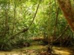 hutan-larangan-kampar_20180503_105020.jpg