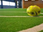 ilustrasi-bola-futsal_20150517_155656.jpg