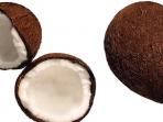 ilustrasi-buah-kelapa-tua_20150707_153824.jpg