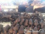 ilustrasi-daging-kelelawar-di-pasar-tomohon.jpg