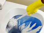 ilustrasi-membersihkan-toilet_20170518_181927.jpg