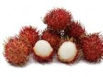 ilustrasi-rambutan-1.jpg
