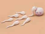 ilustrasi-sperma_20171221_172531.jpg