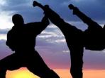 ilustrasi-taekwondo-1_20150517_160538.jpg
