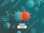 ilustrasi-varian-rekombinan-covid-19-varian-covid-19.jpg