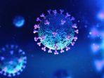 ilustrasi-virus-corona-atau-covid-19.jpg